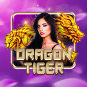 Dragon Tiger live table on playtime apk