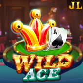 Wild Ace slot on playtime apk